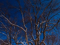 Québec - Plaines d'Abraham